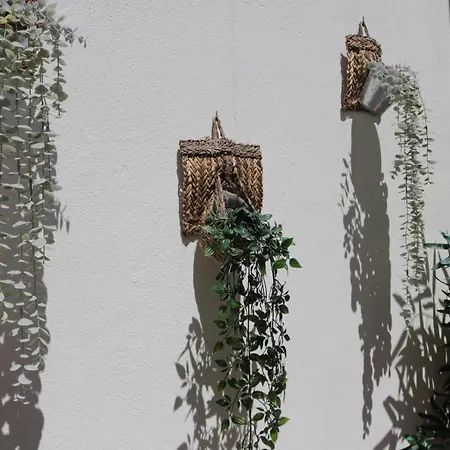 Birdy House בית נופש *